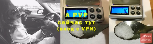дурь Осташков